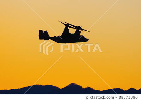 魚鷹在晚上飛 88373386