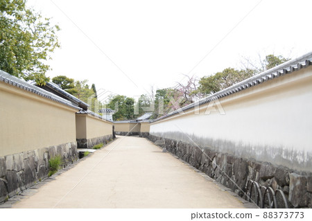 姬路城_2022年春季_賞花散步_我走進了好古園 姬路城_2022年春季_賞花散步_我走進了好古園 88373773