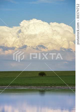 Rural landscape, Buenos Aires province , Argentina Rural landscape, Buenos Aires province , Argentina 88374712