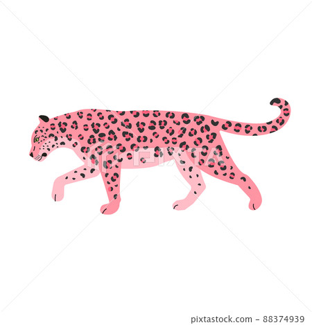 Vector flat pink leopard 88374939