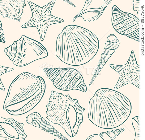 Seashells seamless pattern vector illustration 88375046