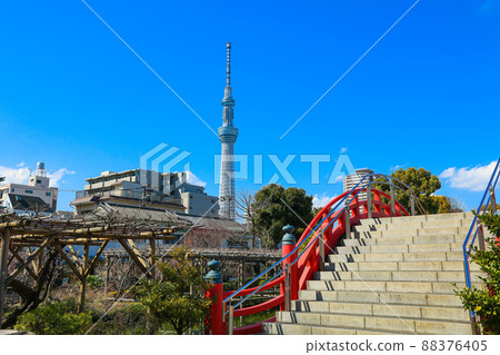 [東京都江東區]龜戶天神社的風景 88376405