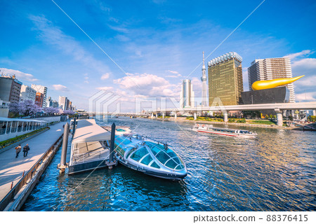 日本東京都市風景你可以在後面看到水上巴士“Emeraldas”和東京水部線的繡球花= 4月1日 日本東京都市風景你可以在後面看到水上巴士“Emeraldas”和東京水部線的繡球花= 4月1日 88376415