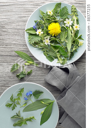 Spring food Spring food 88377235