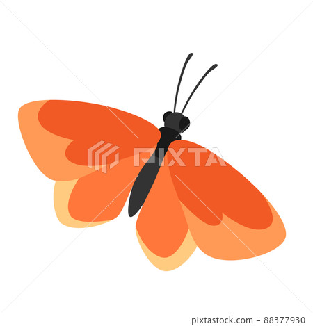 Illustration of decorative butterfly. Color abstract insect. Illustration of decorative butterfly. Color abstract insect. 88377930