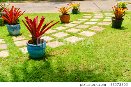 Garden landscape design with pathway intersecting bright green lawns and shrubs white sheet walkway in the garden. Landscape design with colorful shrubs. grass with bricks pathways. lawn care service. Garden landscape design with pathway intersecting bright green lawns and shrubs white sheet walkway in the garden. Landscape design with colorful shrubs. grass with bricks pathways. lawn care service. 88378803