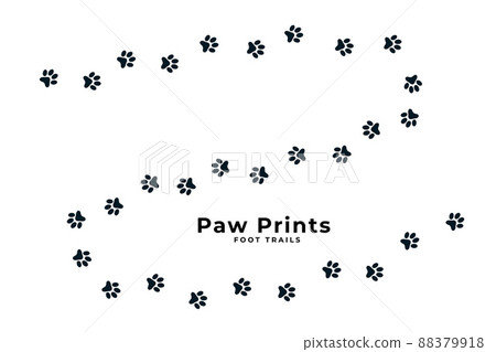 cute puppy or dog paw print trail cute puppy or dog paw print trail 88379918