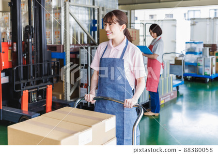 Female staff working in the warehouse 88380058