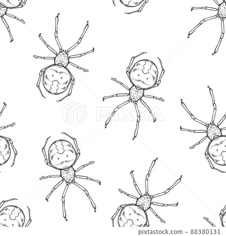 Seamless pattern of monochrome spiders illustration. Vector illustration template Seamless pattern of monochrome spiders illustration. Vector illustration template 88380131