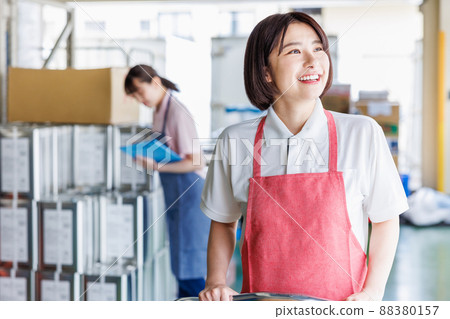 Female staff working in the warehouse Female staff working in the warehouse 88380157
