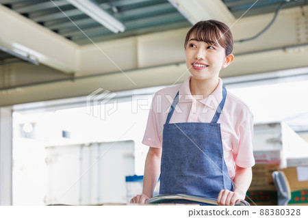 Female staff working in the warehouse 88380328