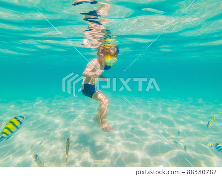 Underwater nature study, boy snorkeling in clear blue sea Underwater nature study, boy snorkeling in clear blue sea 88380782