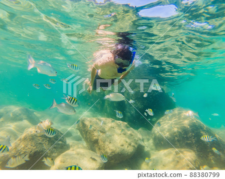 young men snorkeling exploring underwater coral reef landscape background in the deep blue ocean with colorful fish and marine life 88380799