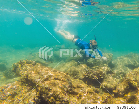 Happy young woman swimming underwater in the tropical ocean Happy young woman swimming underwater in the tropical ocean 88381106