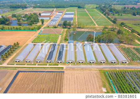 Aerial top view of roof of garden plant industry farm in agriculture concept with paddy rice field. Hydroponic natural food. Crops. Nature landscape background. Aerial top view of roof of garden plant industry farm in agriculture concept with paddy rice field. Hydroponic natural food. Crops. Nature landscape background. 88381601