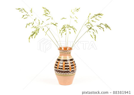 Spikelets of grass in a classic vase. Bunch of green grass Isolated on white background. Spikelets of grass in a classic vase. Bunch of green grass Isolated on white background. 88381941