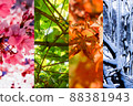 Spring summer autumn winter collage background image 88381943