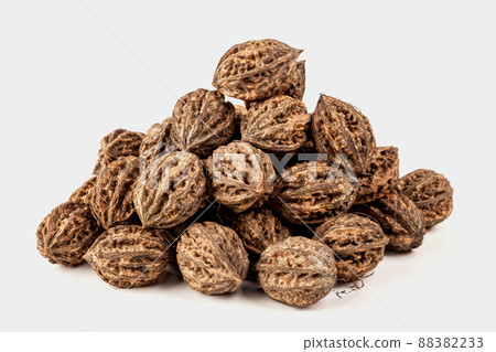 slide of natural hazelnuts in a shell on a white background slide of natural hazelnuts in a shell on a white background 88382233