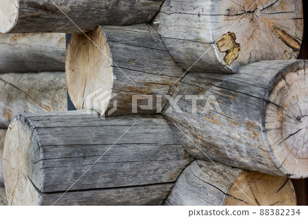 wall of the house is made of round logs wall of the house is made of round logs 88382234
