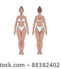Black woman figure standing, silhouette, front and back view. Male body anatomy diagram. Removable underwear. Vector illustration 88382402