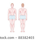 White man figure standing, silhouette, front and back view. Male body anatomy diagram. Removable underwear. Vector illustration 88382403