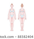 White woman figure standing, silhouette, front and back view. Male body anatomy diagram. Removable underwear. Vector illustration 88382404