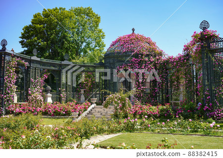 French rose garden (La Roseraie du Val-de-Marne) 88382415