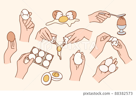 Set of broken, raw and boiled eggs  88382573