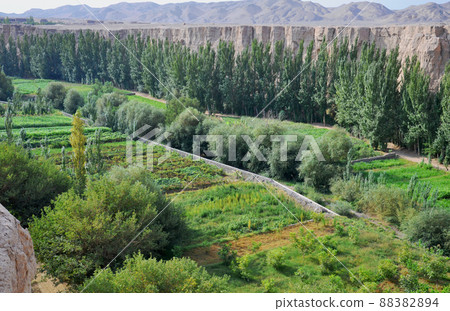 絲綢之路,新疆維吾爾自治區,中國,吐魯番世界文化遺產,古川古堡 絲綢之路,新疆維吾爾自治區,中國,吐魯番世界文化遺產,古川古堡 88382894