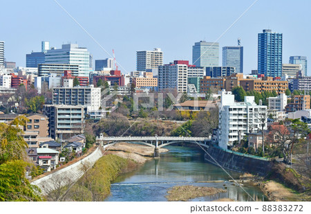 View from Shikadodo, the city of trees, Sendai, early spring, Hirose River, downstream of Goriyabashi 88383272