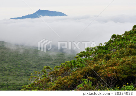 活火山秋田駒岳Shakunage路線漂浮在雲海中的岩手山 88384058
