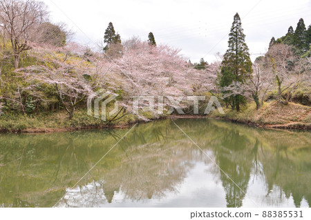 千葉縣成田市春吉倉池 88385531