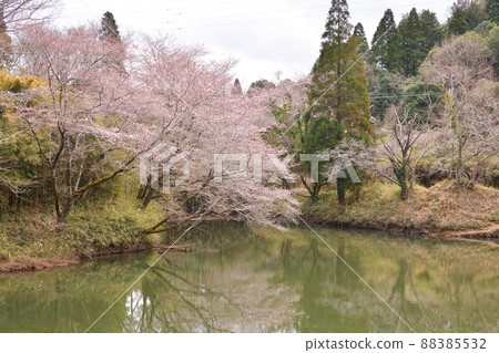 千葉縣成田市春吉倉池 88385532