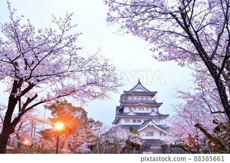 Chiba Castle in spring 88385661