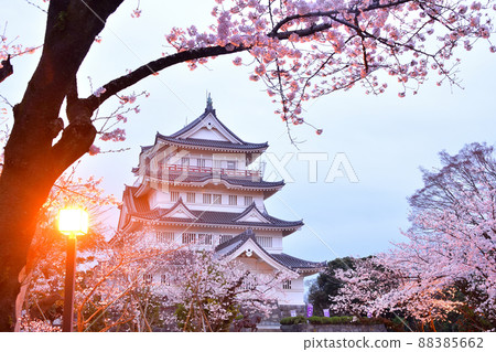 Chiba Castle in spring Chiba Castle in spring 88385662