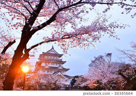 千葉城堡在春天 千葉城堡在春天 88385664
