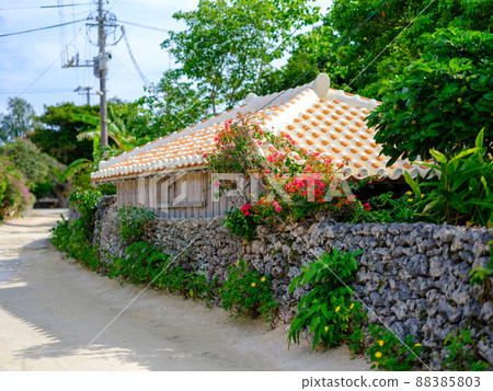 竹富島的城市景觀 竹富島的城市景觀 88385803