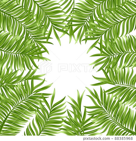 Tropical palm leaf isolated on white background. Realistic green summer plant. Vector illustration 88385968
