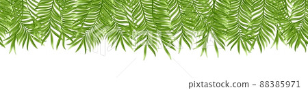 Seamless tropical palm leaf isolated on white background. Realistic green summer plant. Vector illustration Seamless tropical palm leaf isolated on white background. Realistic green summer plant. Vector illustration 88385971