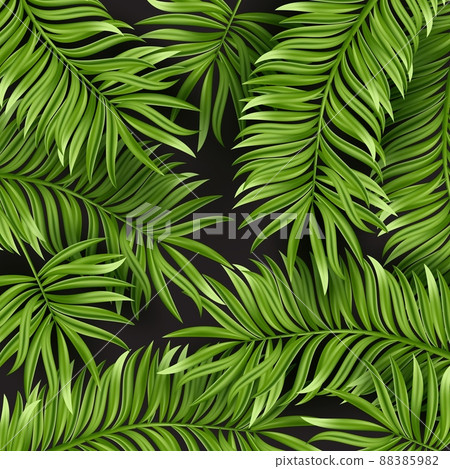 Tropical palm leaf isolated on white background. Realistic green summer plant. Vector illustration 88385982