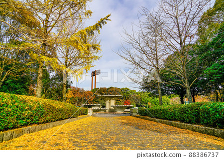 Kasuga Park in Autumn 88386737