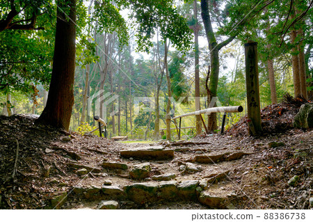 Trail  88386738