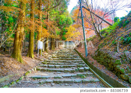 Mt. Kora in autumn 88386739