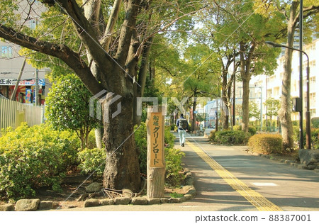 Funabori Green Road 88387001