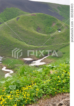 活火山秋田駒岳從禦嶽山小徑鳥瞰小岳，美山金梅盛開 88388403