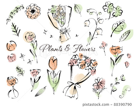 Hand-painted line drawing plant, bouquet set (color) Hand-painted line drawing plant, bouquet set (color) 88390790