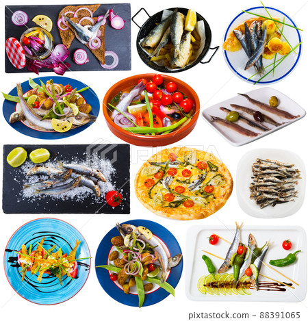Collage of dishes with different seafood - sprat, hamsa, anchovy, sardines and others Collage of dishes with different seafood - sprat, hamsa, anchovy, sardines and others 88391065