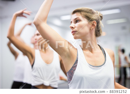 people doing exercises using barre in gym people doing exercises using barre in gym 88391252