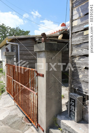 沖繩那霸 Shisa 和可愛的貓 沖繩那霸 Shisa 和可愛的貓 88391641