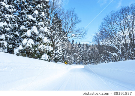 Snowy road (near Oyama Kagamiganaru) 88391857